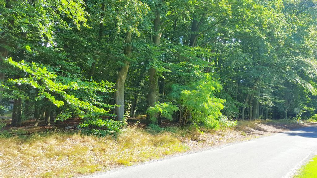 Ferienwohnung Strudthoff Ganderkesee Exterior foto